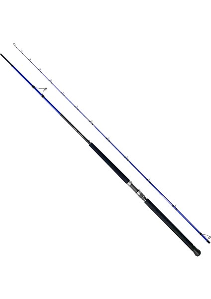Risco 300 cm 30-100 gr Shore Jig Kamışı