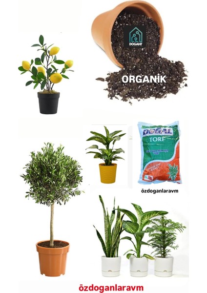 Meyve Saksı Çiçek Torf 5 L