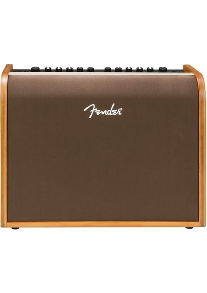 Acoustic 100 Akustik Gitar Amfisi