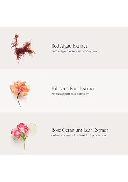 Jane Iredale Smooth Affair Matlaştırıcı Yüz Makyaj Bazı fiyatları