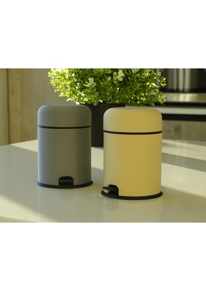 2 Adet Aç Kapa Kürdanlık | Otomatik Hijyenik Masaüstü Kürdan Kutusu