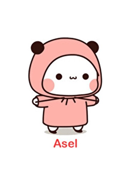 Dudu Bubu Baskılı Ayna 7 cm Çift Taraflı Kapaklı ve Büyüteçli Cep Aynası Sevgiliye Özel