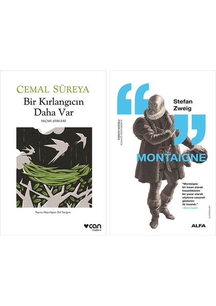 Bir Kırlangıcın Daha Var + Montaigne