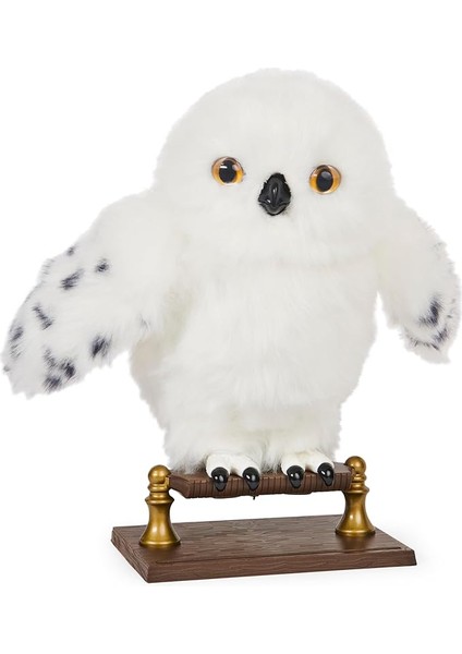 World Interaktif Hedwig