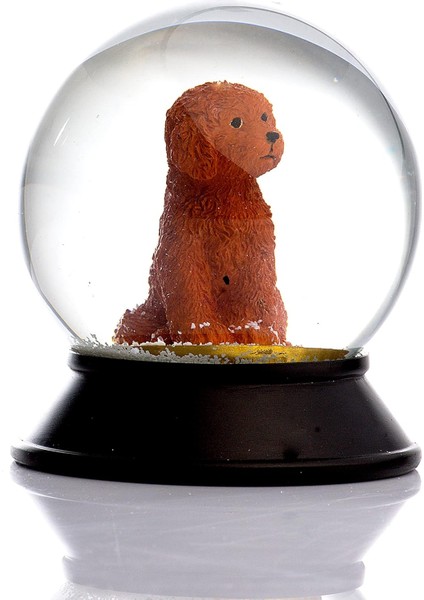 Cam ve Reçine Patiler Köpek Toy Poodle (Tarçın) Kar Küresi Hediye