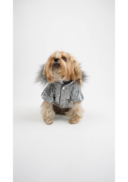 Köpek Kedi Heart Luxe Mont