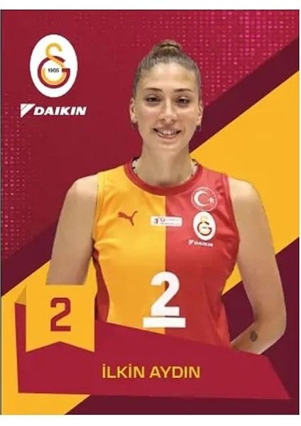Cards Galatasaray Voleybol Kart Serisi-Karton Kutu 24/25 (15 Kart) fiyatları