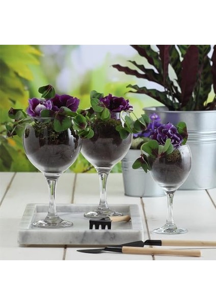 6'lı Goblet fiyatları