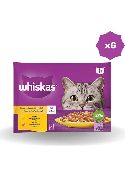 Yaş Mama Poşet Kümes Hayvanları 340 gr - (6 Adet)