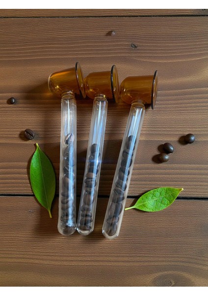 Dekoratif Cam Ölçek Kahve Çekirdekli El Yapımı Cam Obje modelleri