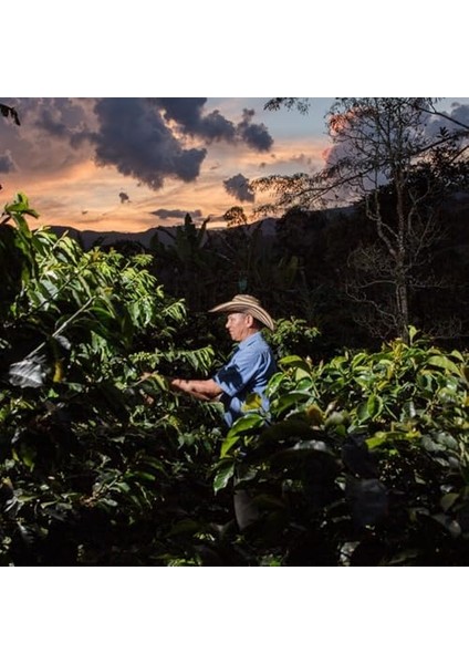 Juan Valdez Volcan Öğütülmüş Güçlü Kahve, 250G, Premium Selection, Koyu Kavrulmuş