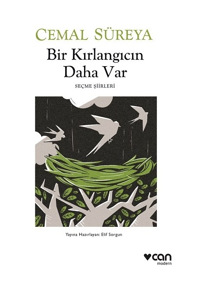 Bir Kırlangıcın Daha Var