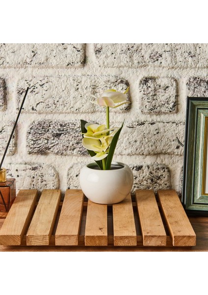 Saksıda Ledli Orkide - Asorti - 25X9 cm modelleri