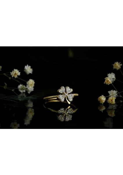 Şansın Işıltısı Yüzük