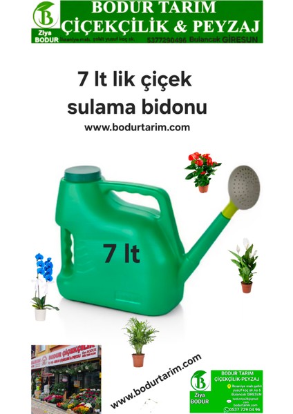 Bodur Tarım Bulancak Kalite Plastik 7 Lt Lik Çiçek Sulama Bahcıvan Bidonu