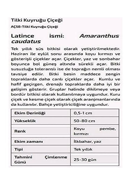 Tarım Tilki Kuyruğu Çiçeği Tohumu fiyatları