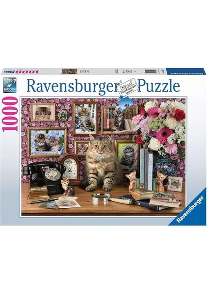 Puzzle, Cute Kitty, 1000 Parça