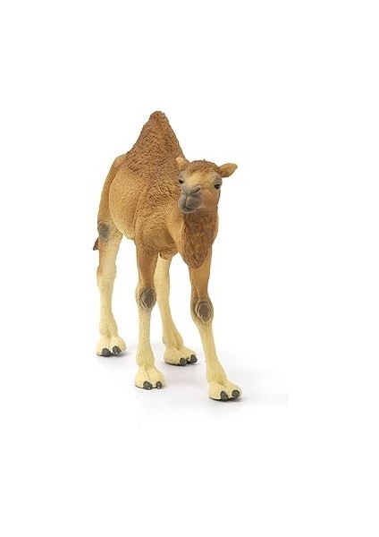 14832 Hörgüçlü Deve Oyuncak Figürü, Çok Renkli fırsatları