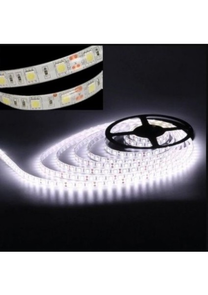 Horoz Electrıc 5 Metre Iç Mekan Şerit LED modelleri