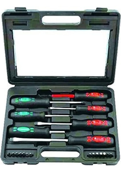 W 2230, Tornavida / Bits Uç Seti (21 Parça), Siyah, Yeşil, Kırmızı