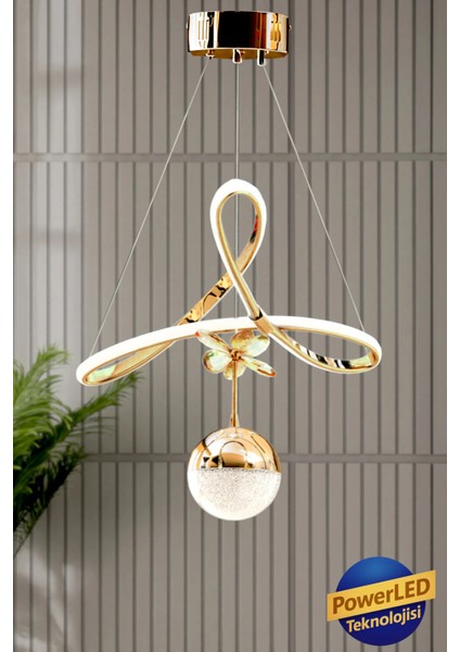 Orkide Model Salon Mutfak Oturma Yatak Odası Modern LED Plafonyer Avize