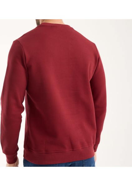 Basıc Bisiklet Yaka Bordo Paris Arma Regular Fit fırsatları