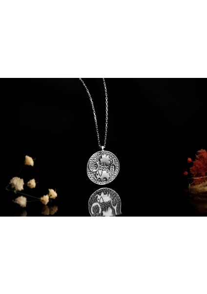 Uğur Tılsımı Kolye