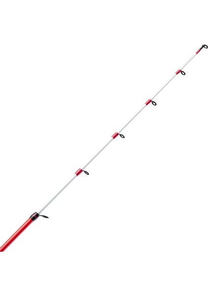 Tekne Olta Takımı - Balıkçılık - 210 cm 40/80 g 4000 - Seaboat Light 100