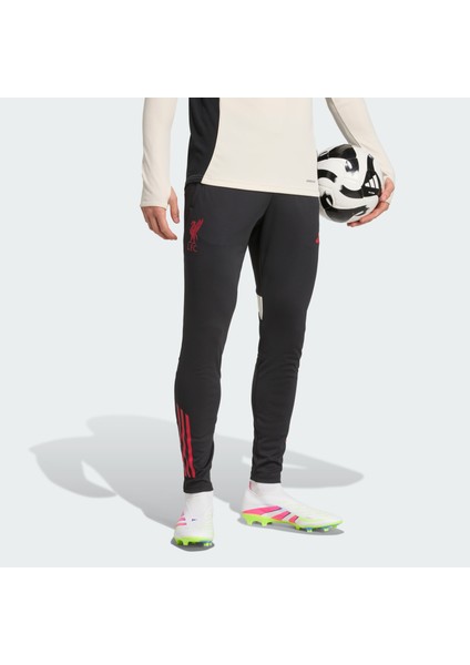 Performance JV6566 Liverpool Fc Tiro 25 Competition Training Pants fiyatları