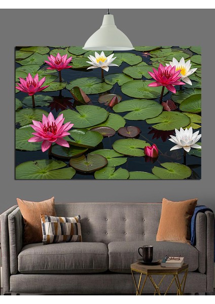 Lotus Çiçekleri Su Yansıma Dekoratif Kanvas - Mdf Ahşap Tablo