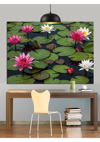 Lotus Çiçekleri Su Yansıma Dekoratif Kanvas - Mdf Ahşap Tablo fiyatları