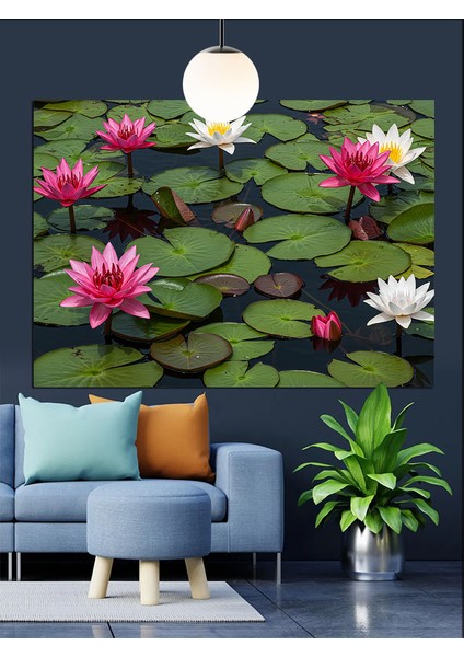 Lotus Çiçekleri Su Yansıma Dekoratif Kanvas - Mdf Ahşap Tablo modelleri