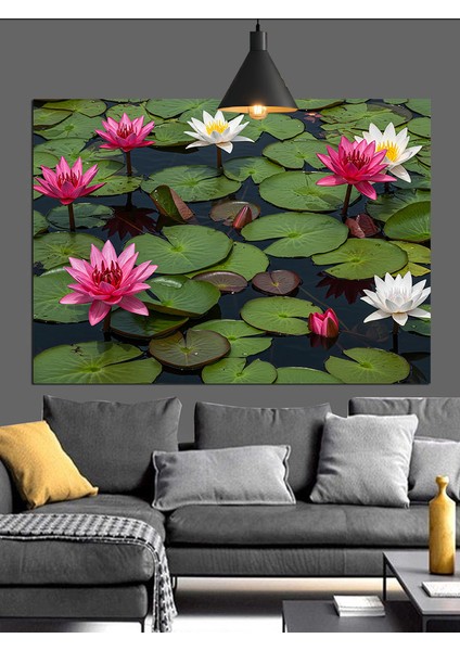 Lotus Çiçekleri Su Yansıma Dekoratif Kanvas - Mdf Ahşap Tablo indirimleri