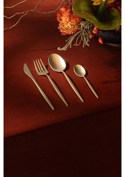 Cutlery HN521 Bk 24 Parça Çelik Çatal Bıçak Kaşık Takımı modelleri