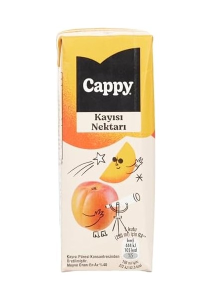 Cappy Kayısı Nektarı Karton Kutu 27X200 ml