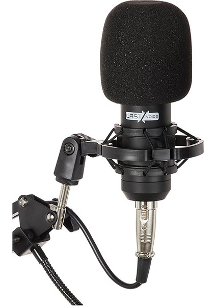 BM800BT Black Kondanser Mikrofon Stand Filtre Ses Kartı fiyatları