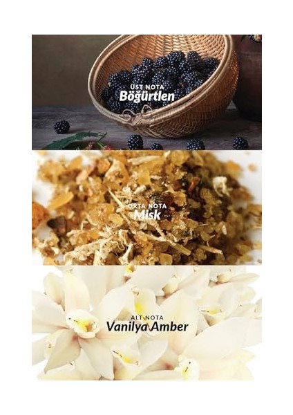 Avon Attraction Kadın Vücut Losyonu 125 Ml. fiyatları