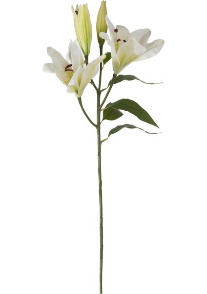 Concept Zarif Zambak Çiçeği Beyaz 75CM