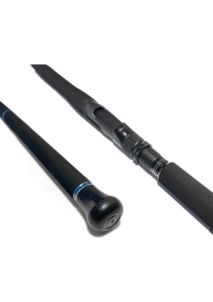 Pia 290 cm 30-70 gr Spin Olta Kamışı modelleri