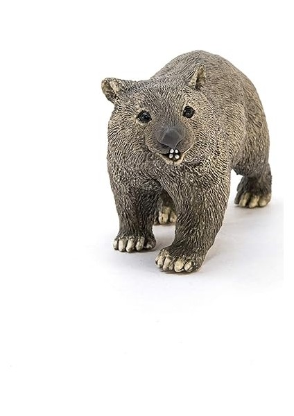 14834 Vombat Oyuncak Figürü, Çok Renkli fiyatları