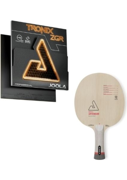 Profesyonel Masa Tenisi Raketi - Ittf Onaylı