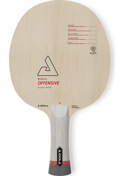 Profesyonel Masa Tenisi Raketi - Ittf Onaylı fiyatları