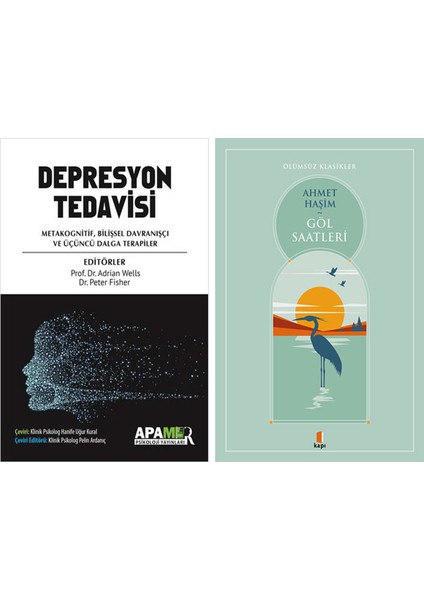 Depresyon Tedavisi - Metakognitif, Bilişsel Davranışçı ve Üçüncü Dalga Terapiler + Göl Saatleri