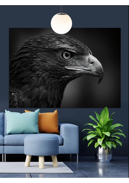 Kara Kartal Kafa Keskin Dekoratif Kanvas - Mdf Ahşap Tablo fırsatları