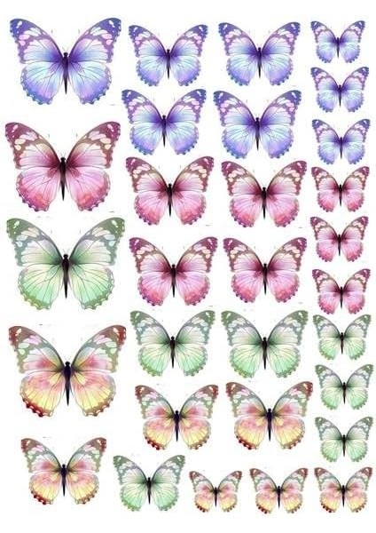 Vitrini Renkli Kelebekler Temalı Yenilebilir Resimli Pasta Kurabiye Üstü Gofret Plaka Baskısı