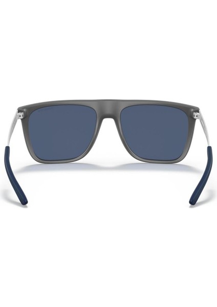 An 4313 278680 55 Güneş Gözlüğü modelleri