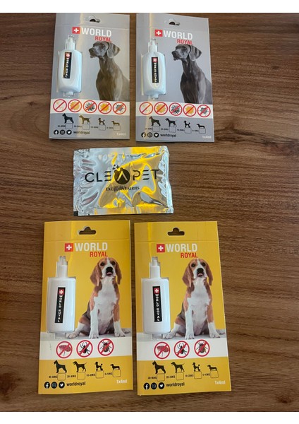 Köpek Iç Parazit Parazit ve Nano Mendil