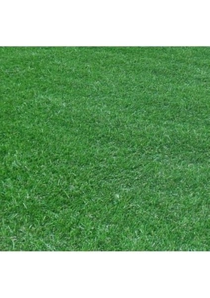 Çim Coşturan 2800 Çim Gübresi 10 kg 500 M2 (25.5.5)+Me modelleri