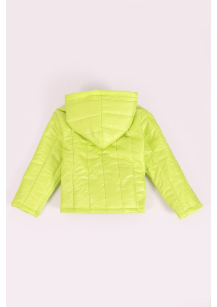 Desenli Mont fırsatları