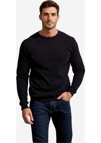 Erkek Basic Regular Sweatshirt fiyatları